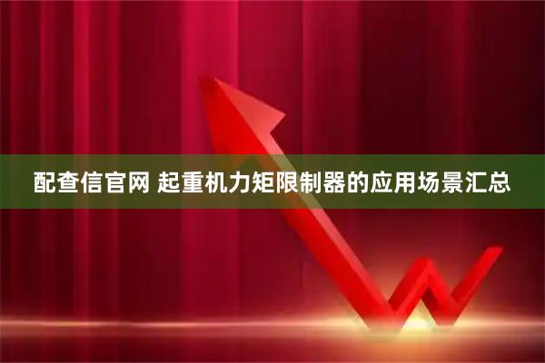 配查信官网 起重机力矩限制器的应用场景汇总